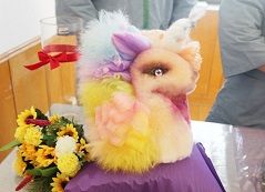 行为美容师创意课程