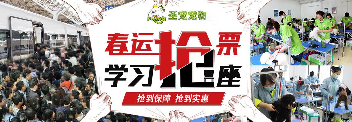 春运抢票，学习抢座