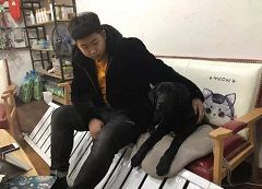 “我相信我的技术和我的态度”-圣宠宠物（长春中海寰宇店）