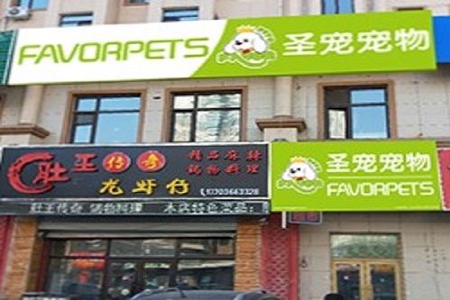 圣宠宠物哈尔滨远大都市明珠店