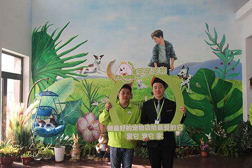 恭喜赵先生入驻圣宠·哈尔滨圣宠连锁店新添1家