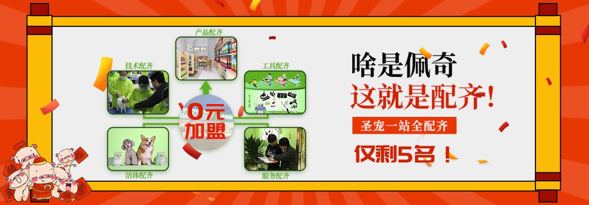 啥是佩奇 圣宠全配齐！