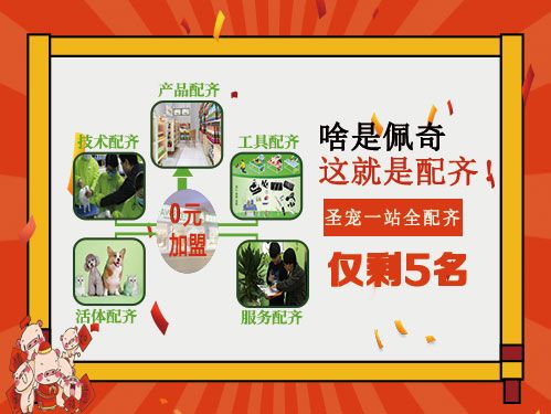 啥是佩奇 圣宠一站全配齐!仅剩5名