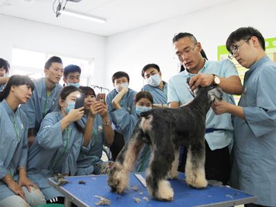 圣宠成都校开课倒计时-引领西南宠物人才新纪元