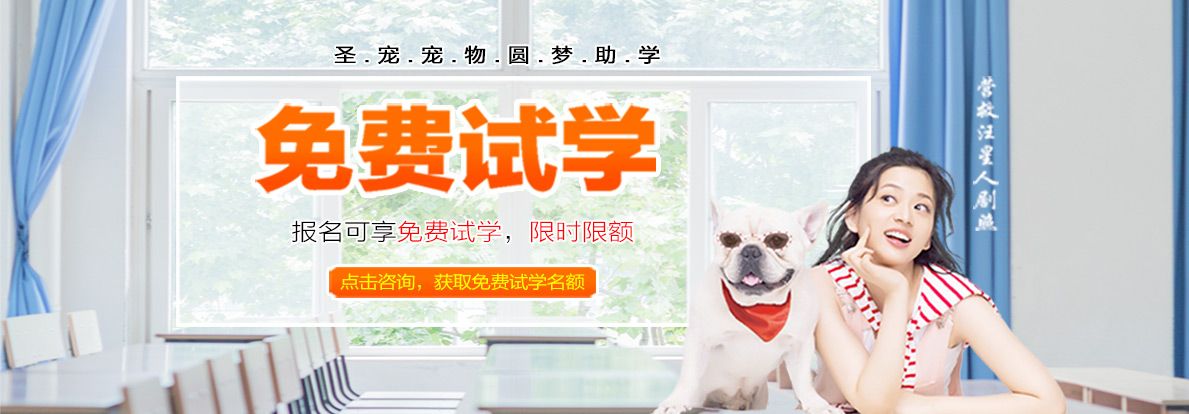 报名即可免费试学