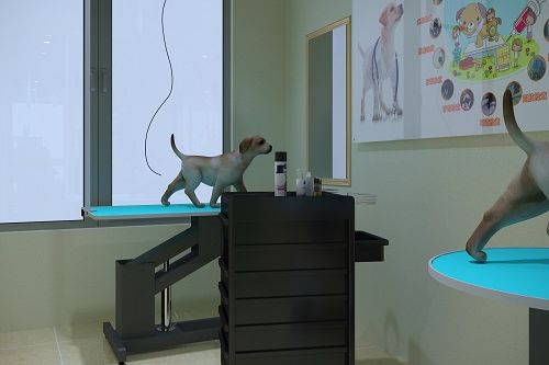 圣宠宠物沈阳万科明天广场店