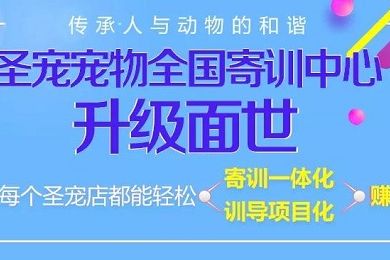 震惊！训犬学校校长曝光行业内幕，原来训犬这么简单？