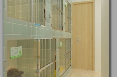 圣宠宠物惠州蔚蓝海岸店