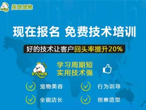 宠物店高盈利项目曝光！