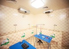 圣宠宠物海拉尔店