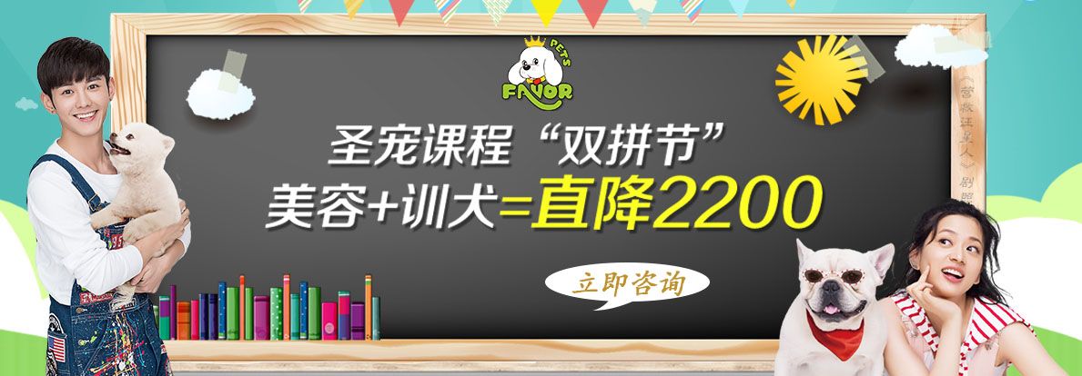 圣宠五月“双拼节”，美容+训导直降2200元