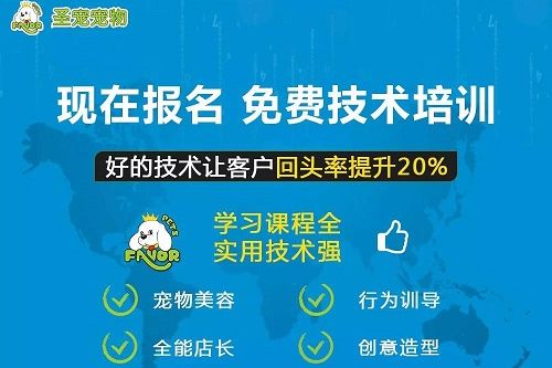 【店铺红火】=技术+服务！不断打造店铺“常青树”的道路