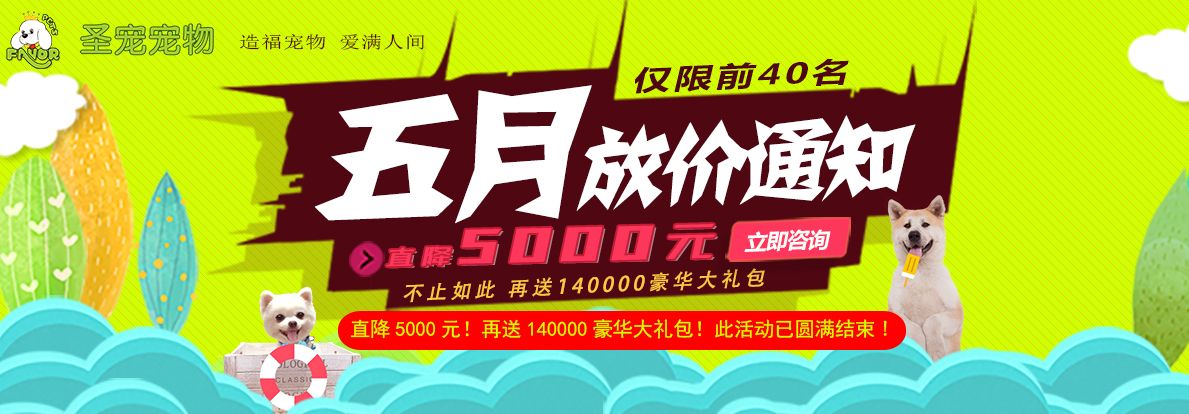 五一放价通知，加盟费直降5000元