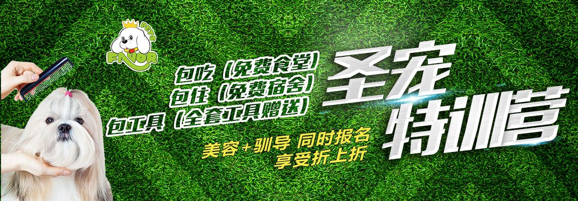 圣宠特训营，享受三包政策