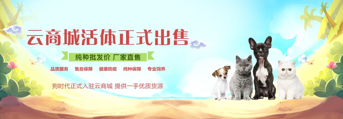 云商城活体正式出售