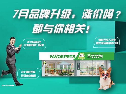 聚焦圣宠宠物，共谋行业发展！
