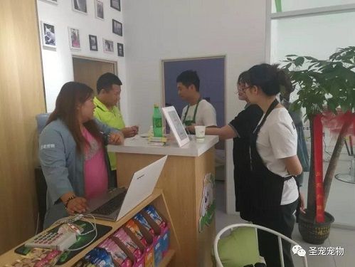 巡店记|骄阳似火抵不过圣宠巡店的热情