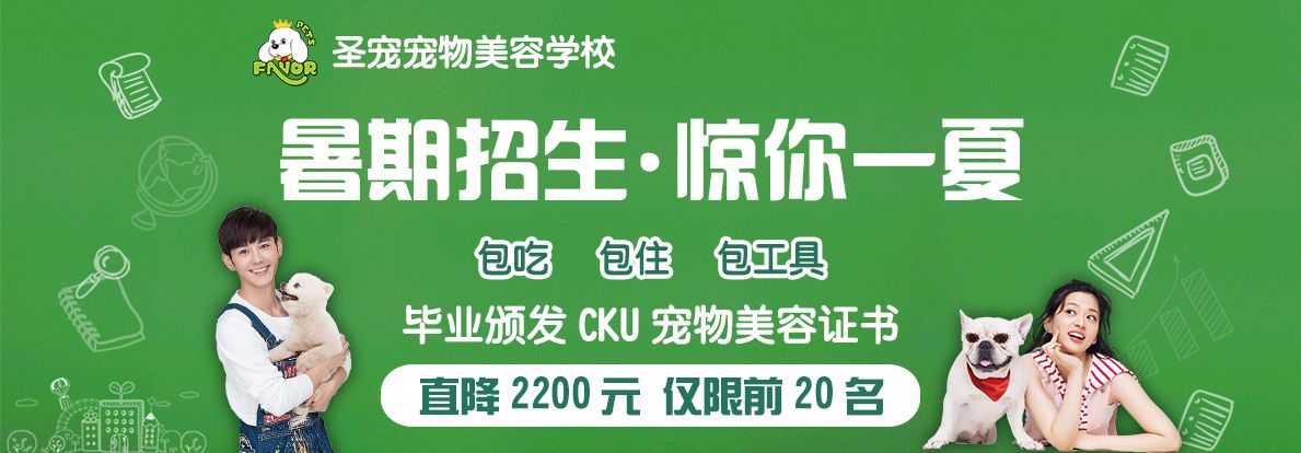 圣宠暑期班 直降2000 仅限前20名