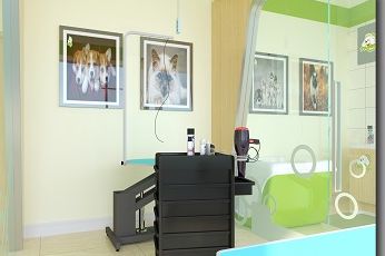 圣宠宠物（上海浦东新区恒生万鹂商业广场店）