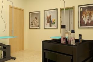 圣宠宠物（重庆水云路店）