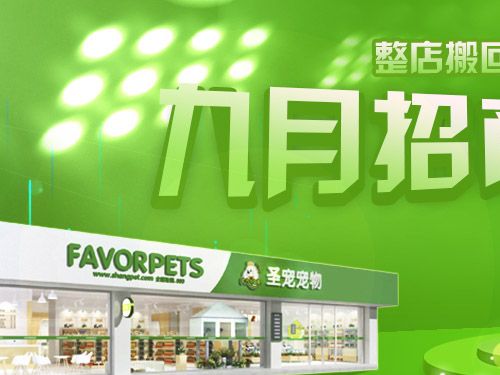 九月招商  零元加盟