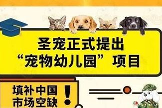 圣宠宠物幼儿园兴起，或将成为宠物行业新热门！
