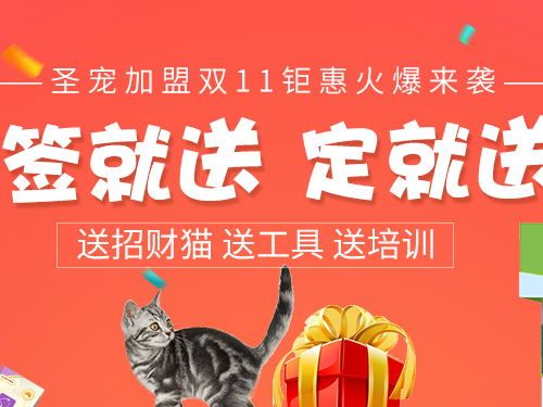 双11钜惠   签就送 定就送 送工具 送招财猫 送培训