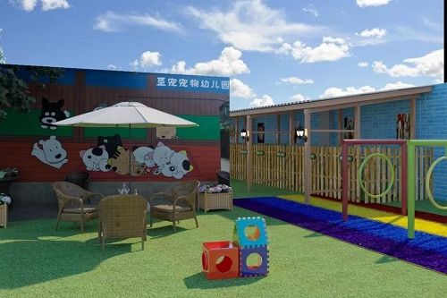 圣宠宠物幼儿园兴起，或将成为宠物行业新热门！