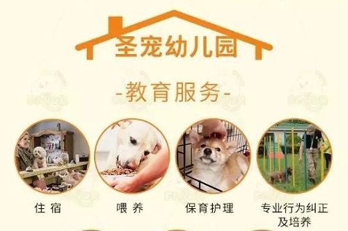 北京宠物寄养攻略丨春节离家给主子们找个靠谱的“家”！