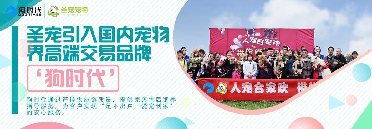 圣宠引入国内宠物界顶端交易品牌