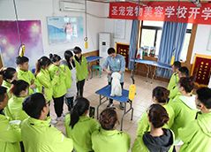 美容班真犬实操