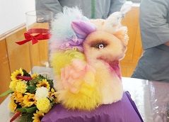 行为美容师创意课程