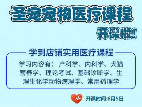 圣宠宠物医疗课 开课啦！