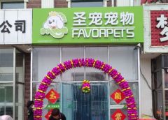 成功总是留给有准备的人，但更需要一个好机遇