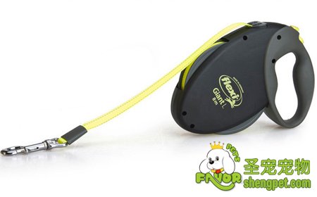 福莱希巨型犬荧光黄牵引