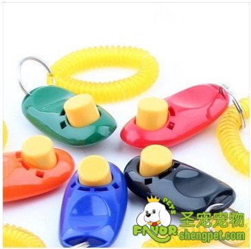 Ƭ ѵѵë̩ϱܵƷ ѵƬ