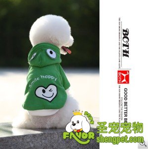 ȫﶬƷ BOTH  · ̩װ 