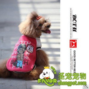 2013ȫﶬƷ BOTHСŮװ  · ̩װ 