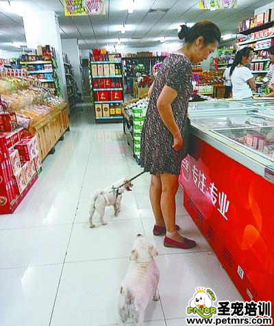 女子带两只狗逛超市 工作人员视而不见