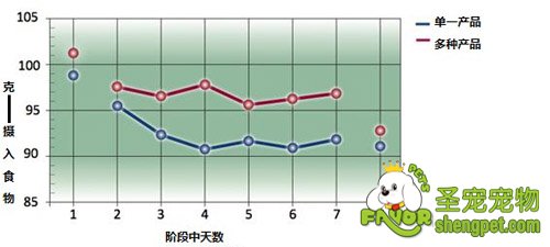 食物种类与猫进食量对比图