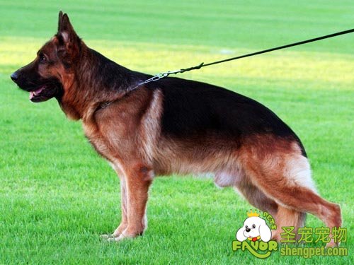 �¹�����Ȯ