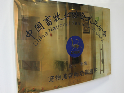 CNKC宠物美容师培训机构