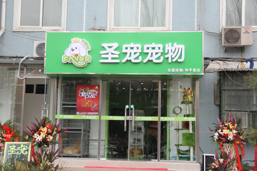宠物店