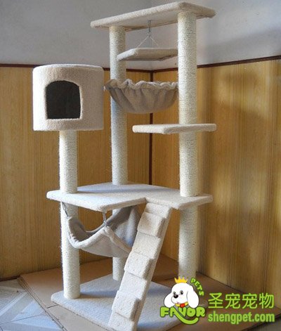 猫爬架应该怎样设置和选购