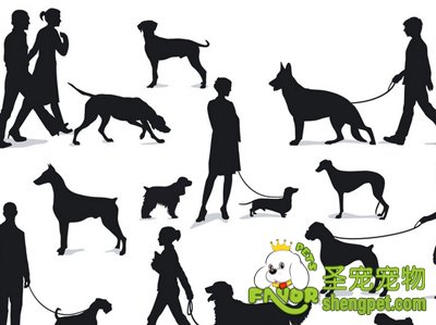 遛狗