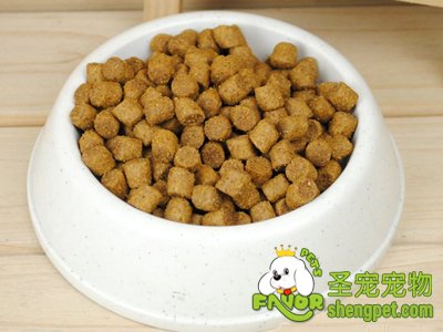 狗粮
