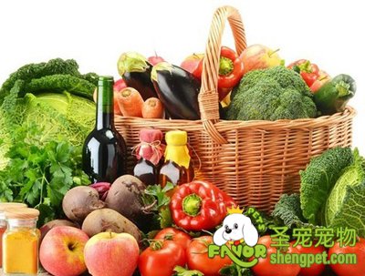 狗狗需慎食用的蔬果清单