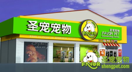 如何加盟开宠物店