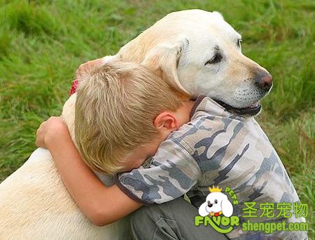 如何训练狗狗不乱扑人