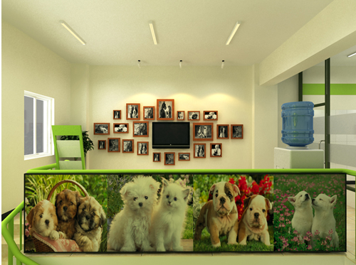 圣宠宠物北京延庆店二层效果图